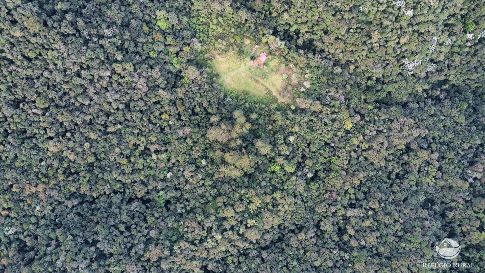 Fazenda à venda de 484 ha em Monteiro Lobato, SP, Brasil