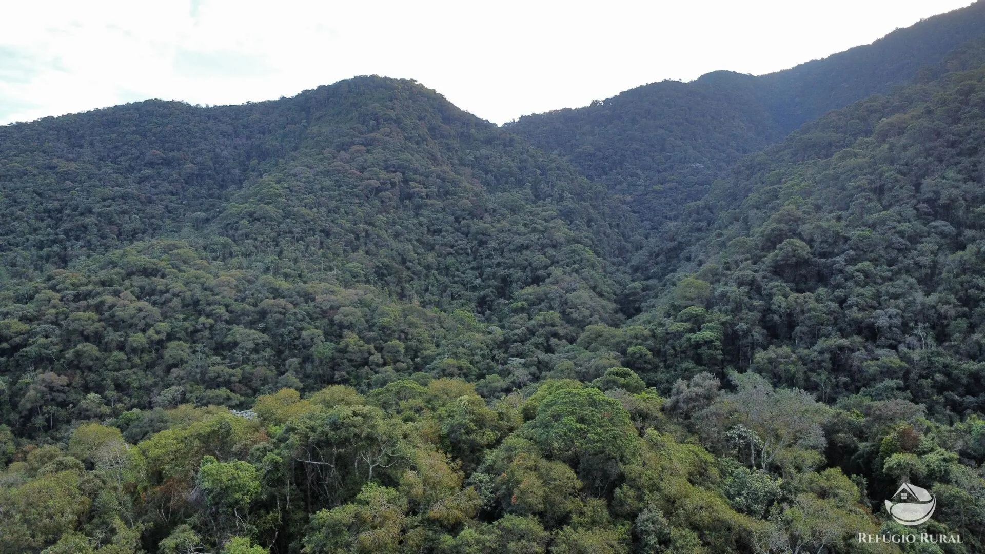 Fazenda à venda de 484 ha em Monteiro Lobato, SP, Brasil