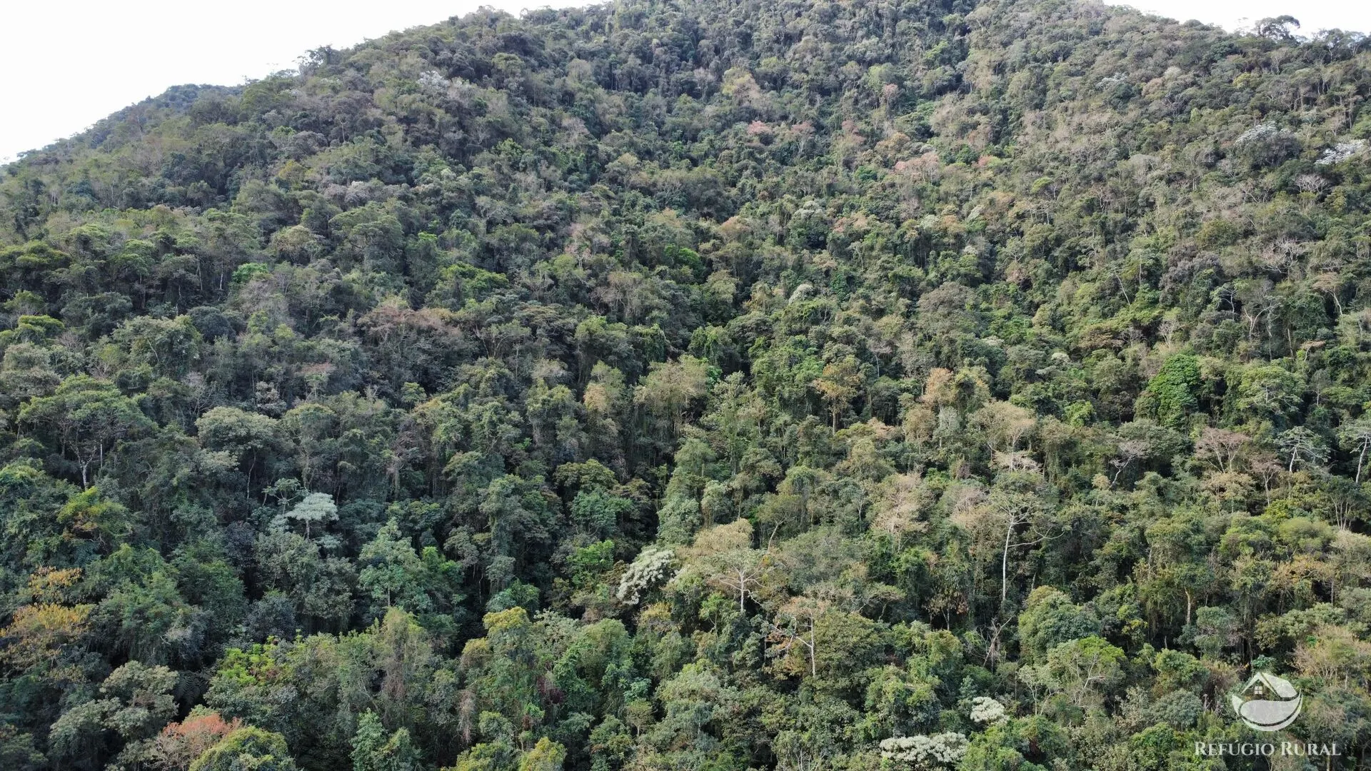 Fazenda à venda de 484 ha em Monteiro Lobato, SP, Brasil
