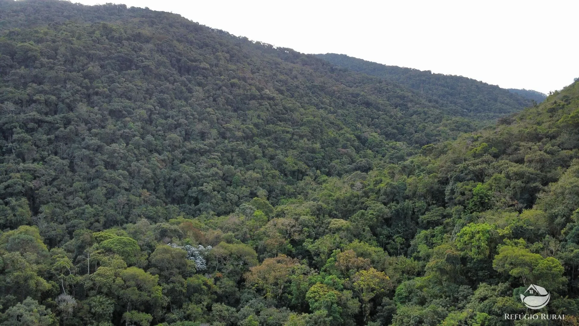 Fazenda à venda de 484 ha em Monteiro Lobato, SP, Brasil