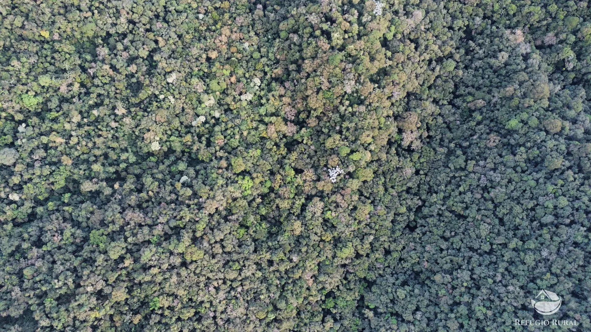 Fazenda à venda de 484 ha em Monteiro Lobato, SP, Brasil