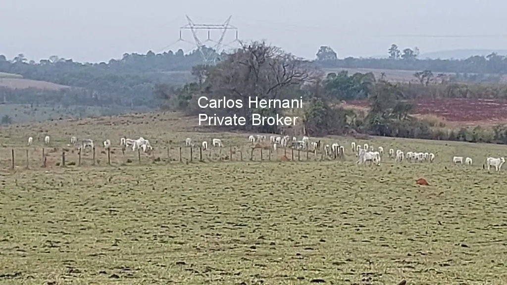 Sítio à venda de 27 ha em Porto Feliz, SP, Brasil
