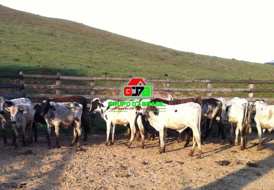Fazenda à venda de 255 ha em Lorena, SP, Brasil