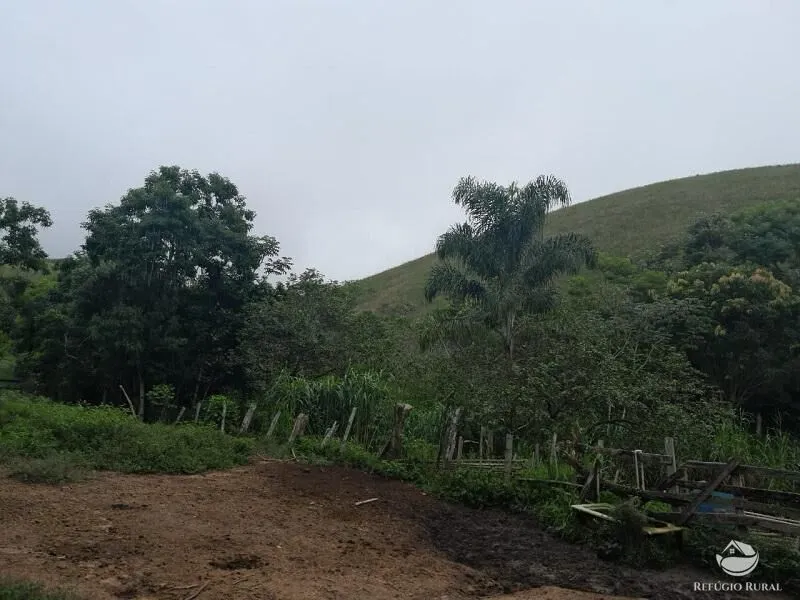 Small farm for sale of 64 acres in São José dos Campos, SP, Brazil