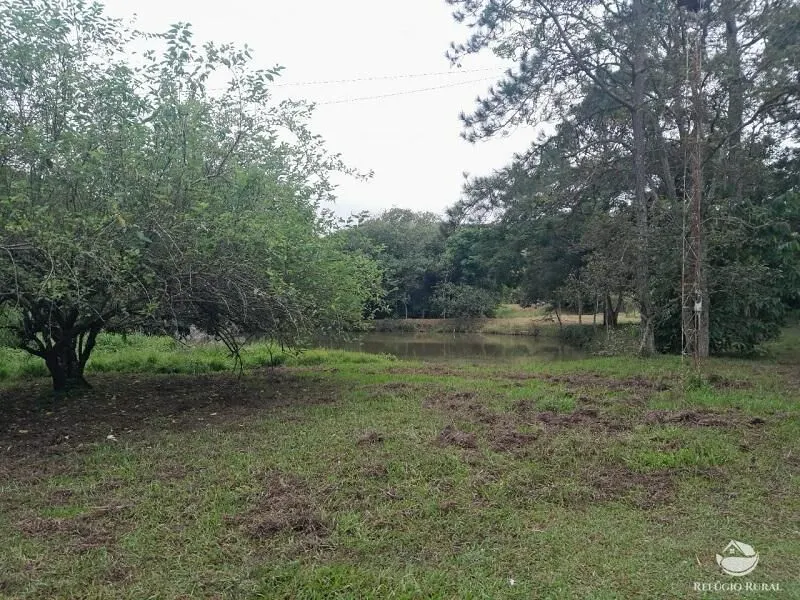 Small farm for sale of 64 acres in São José dos Campos, SP, Brazil