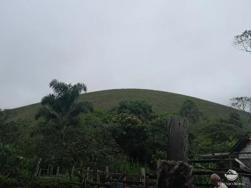 Small farm for sale of 64 acres in São José dos Campos, SP, Brazil