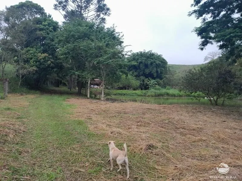 Small farm for sale of 64 acres in São José dos Campos, SP, Brazil