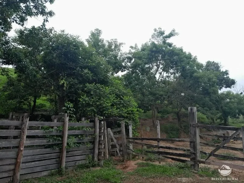 Small farm for sale of 64 acres in São José dos Campos, SP, Brazil