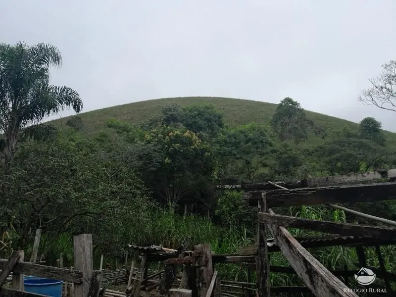 Small farm for sale of 64 acres in São José dos Campos, SP, Brazil