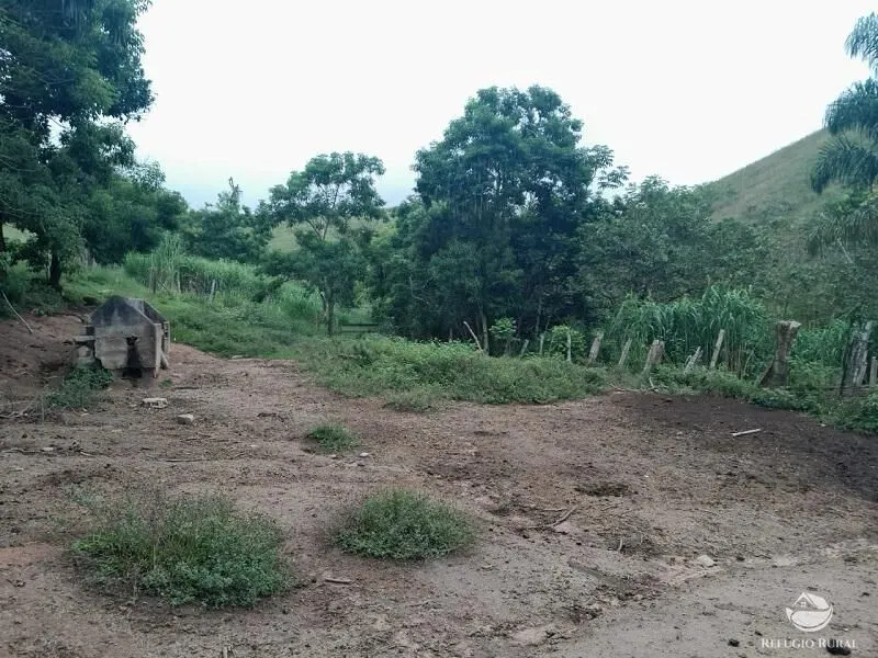 Small farm for sale of 64 acres in São José dos Campos, SP, Brazil