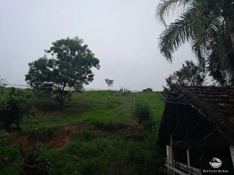 Small farm for sale of 64 acres in São José dos Campos, SP, Brazil