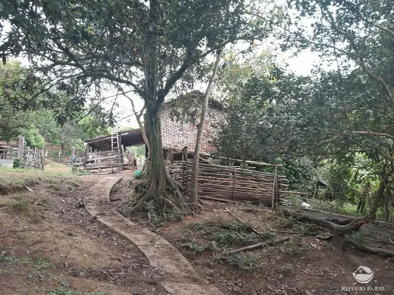 Small farm for sale of 64 acres in São José dos Campos, SP, Brazil