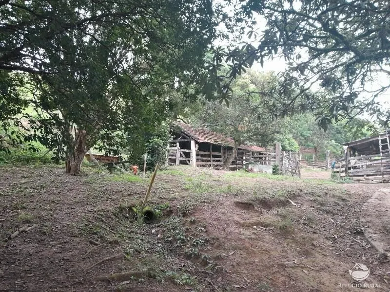 Small farm for sale of 64 acres in São José dos Campos, SP, Brazil