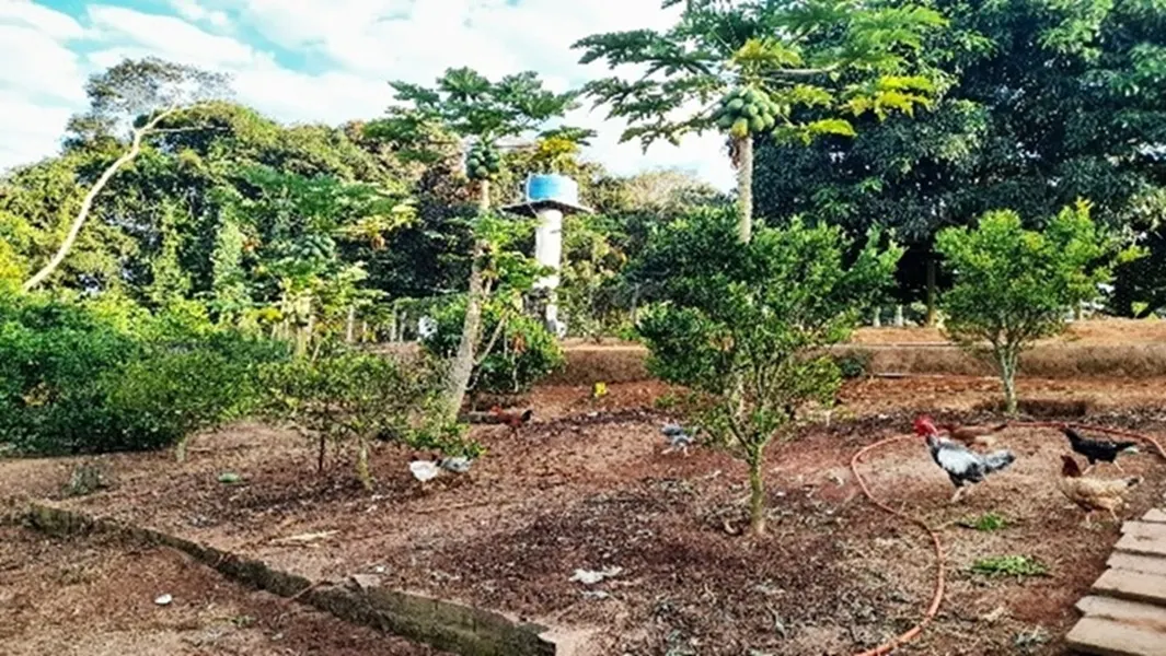 Chácara à venda de 2 ha em Jarinu, SP, Brasil