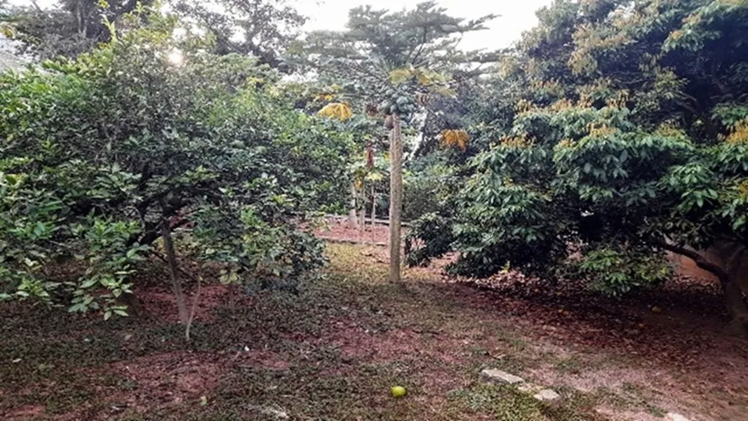 Chácara à venda de 2 ha em Jarinu, SP, Brasil