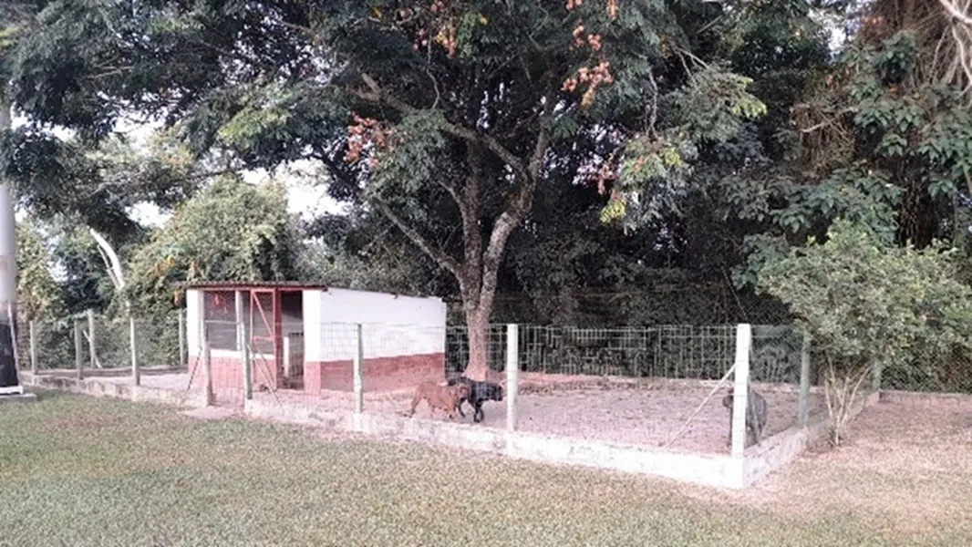 Chácara à venda de 2 ha em Jarinu, SP, Brasil