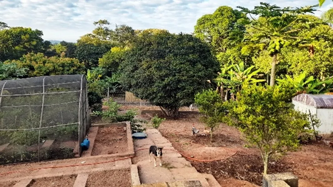 Chácara à venda de 2 ha em Jarinu, SP, Brasil