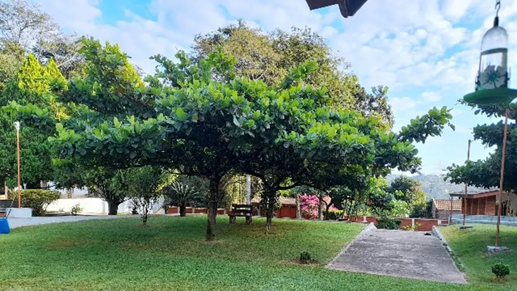Chácara à venda de 2 ha em Jarinu, SP, Brasil
