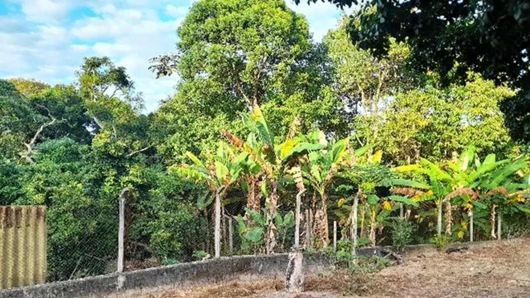 Chácara à venda de 2 ha em Jarinu, SP, Brasil