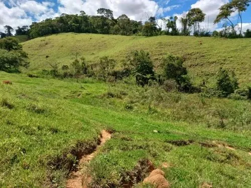 Sítio à venda de 25 ha em Santos Dumont, MG, Brasil