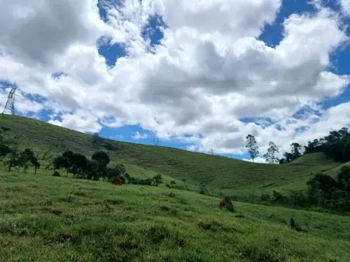 Sítio à venda de 25 ha em Santos Dumont, MG, Brasil