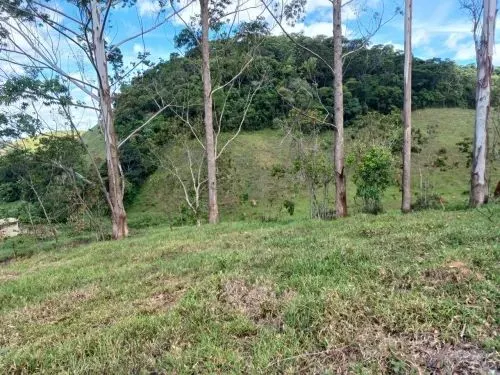 Sítio à venda de 25 ha em Santos Dumont, MG, Brasil