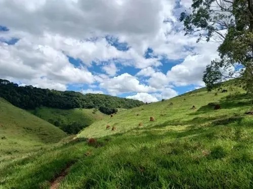 Sítio à venda de 25 ha em Santos Dumont, MG, Brasil