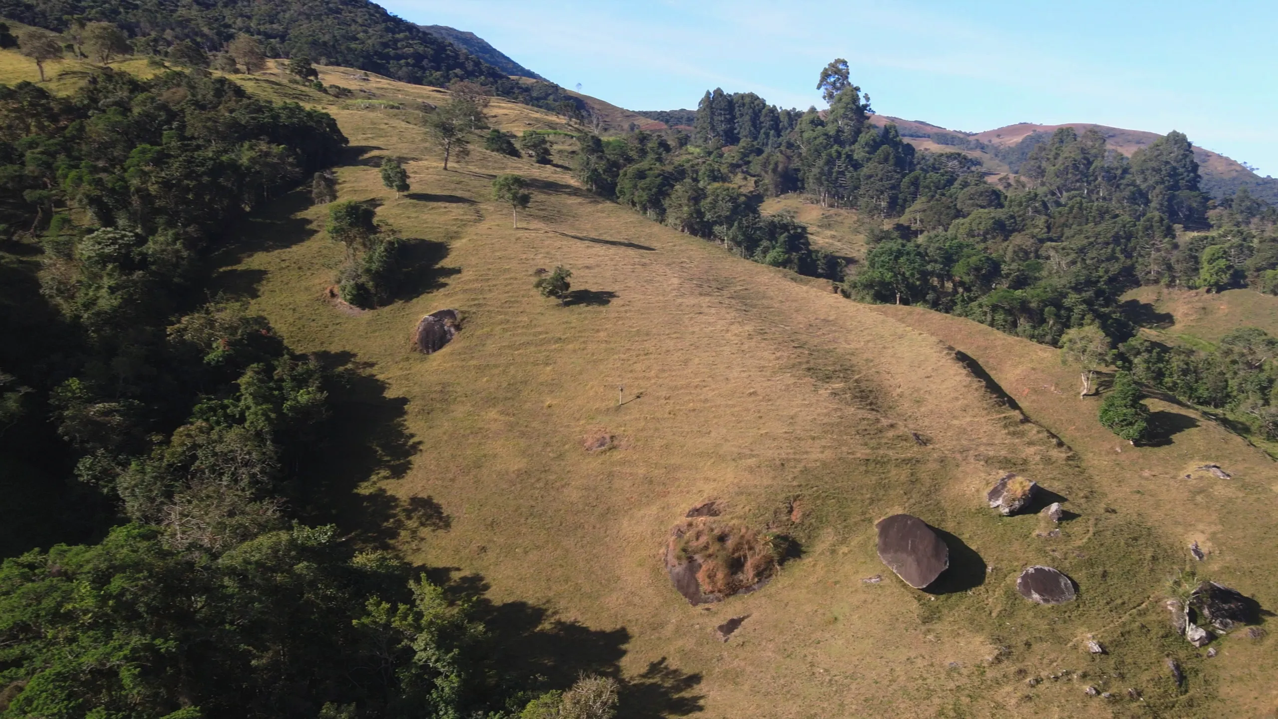 Sítio à venda de 24 ha em Alagoa, MG, Brasil
