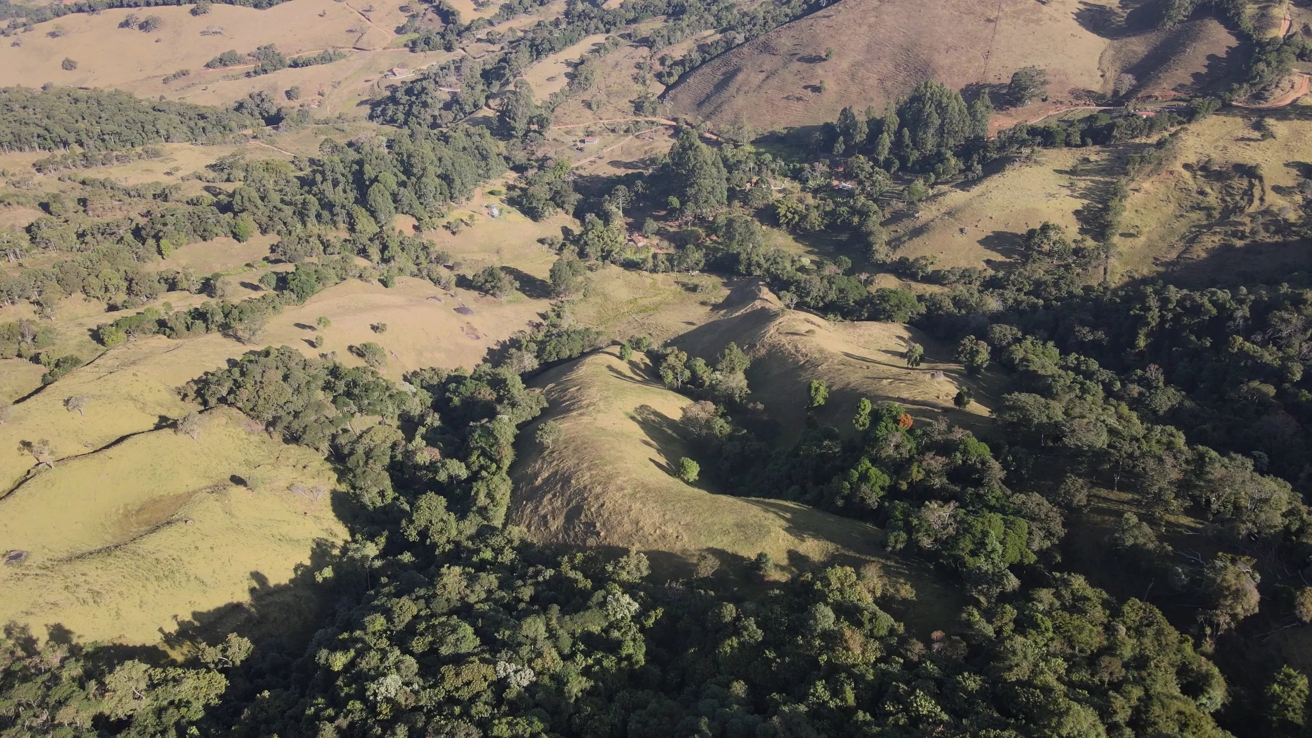 Sítio à venda de 24 ha em Alagoa, MG, Brasil