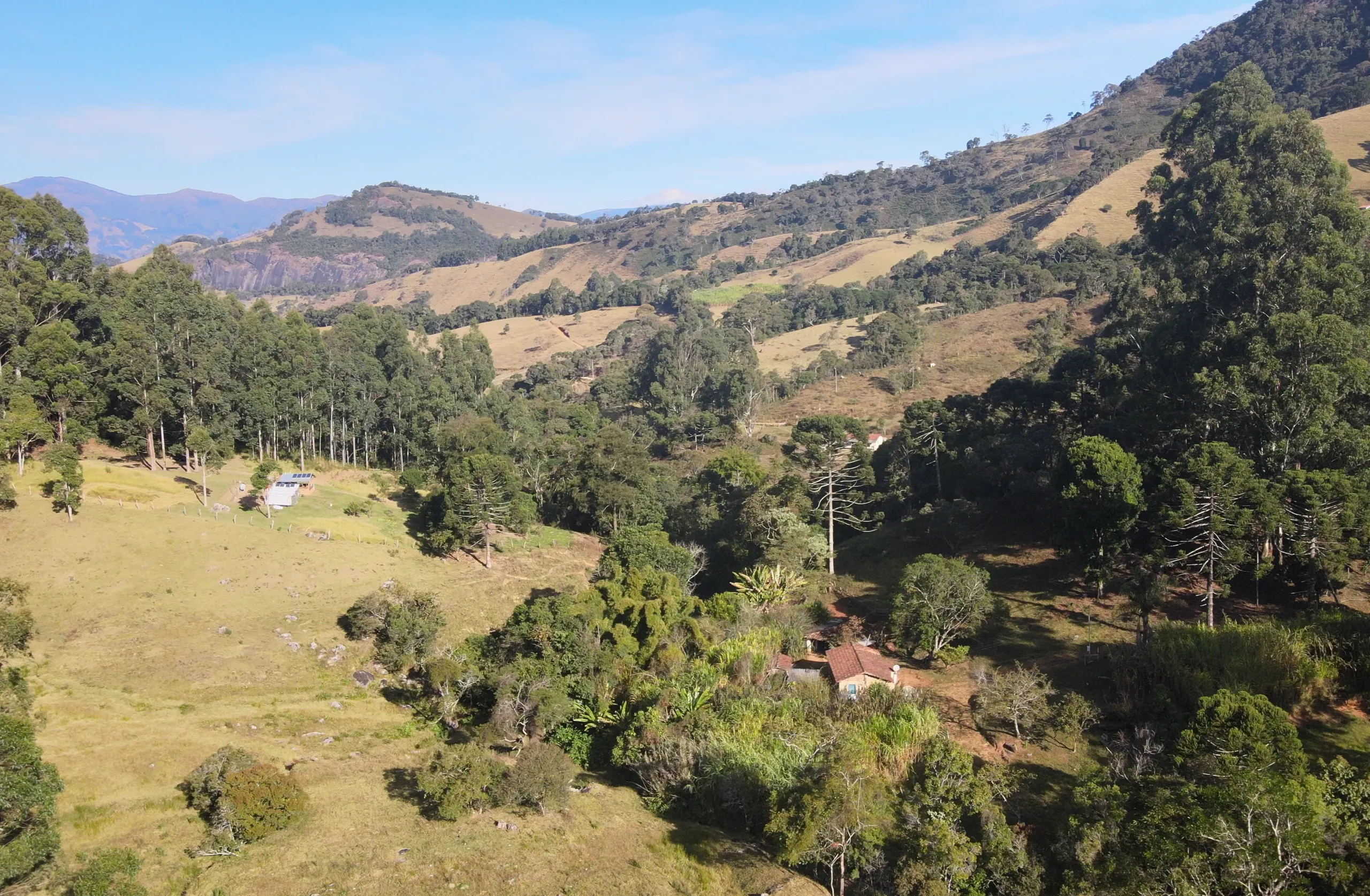 Sítio à venda de 24 ha em Alagoa, MG, Brasil