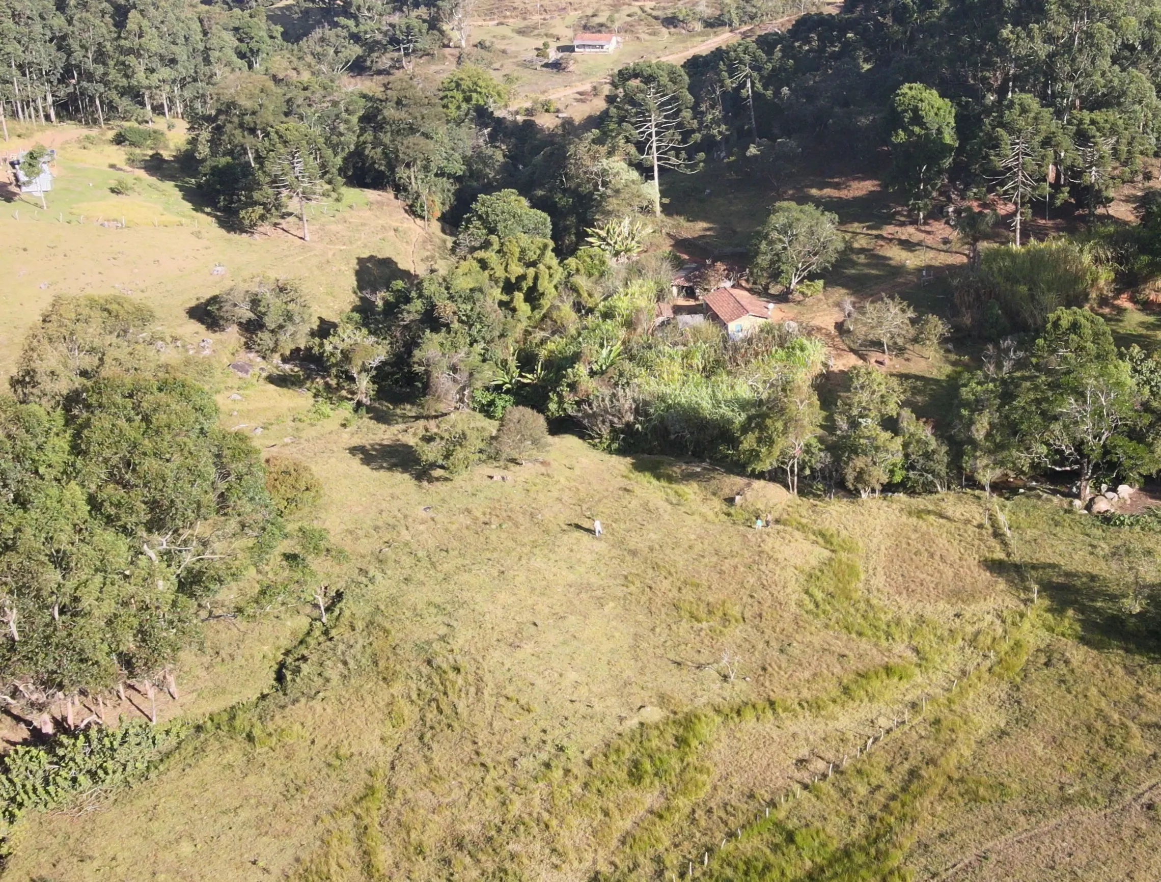 Sítio à venda de 24 ha em Alagoa, MG, Brasil