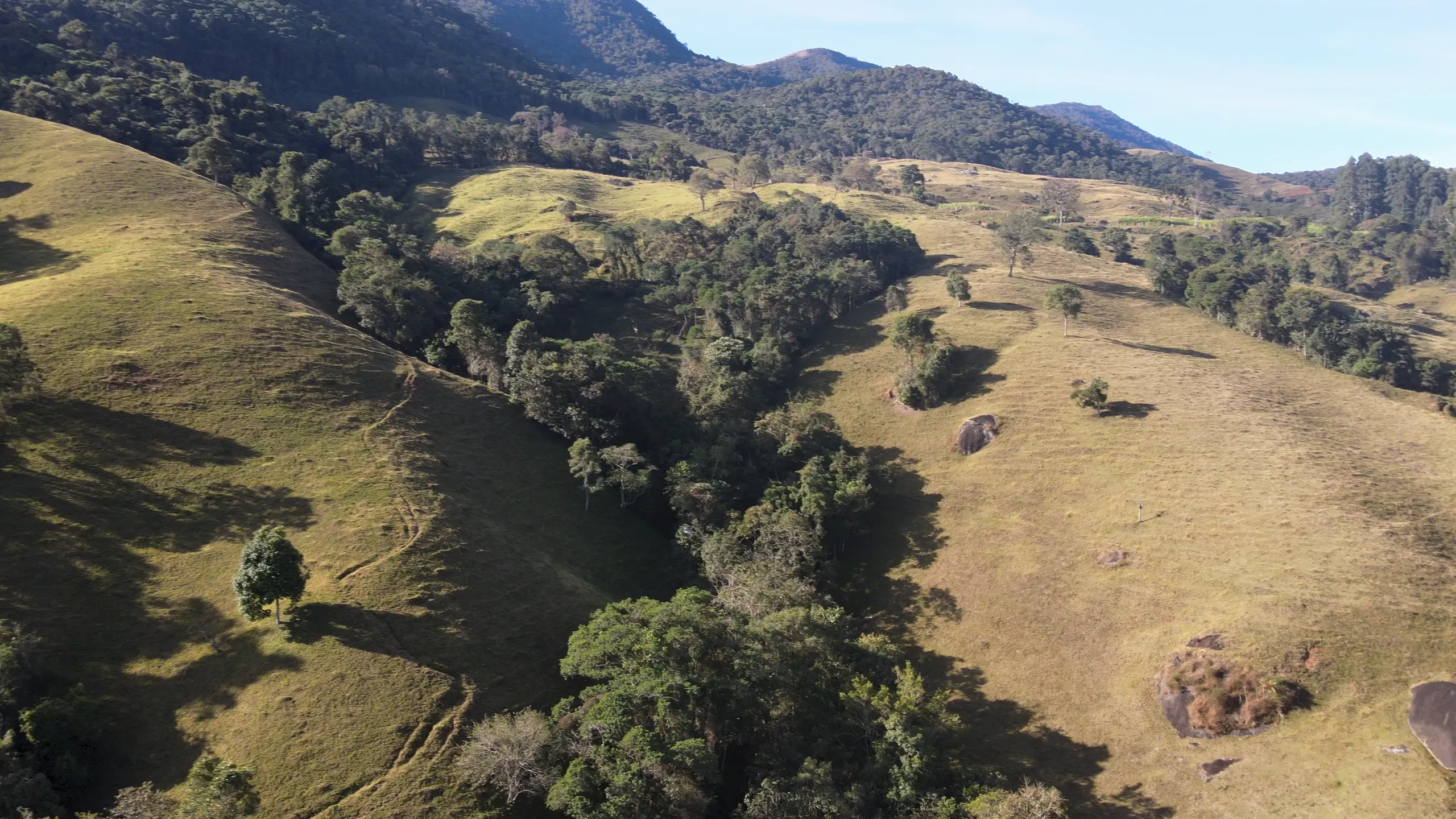 Sítio à venda de 24 ha em Alagoa, MG, Brasil