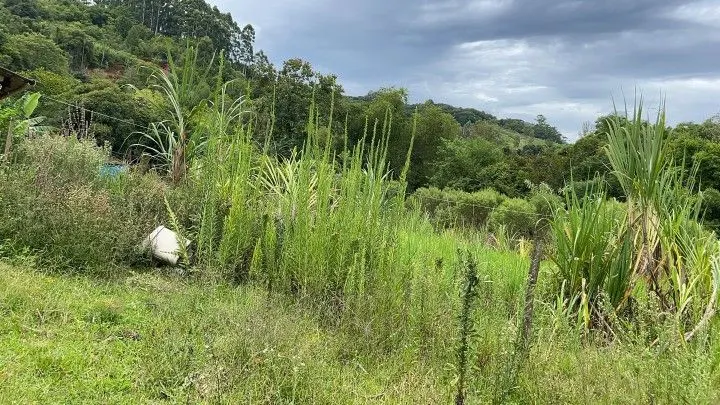 Country home for sale of 10 acres in Caraá, RS, Brazil