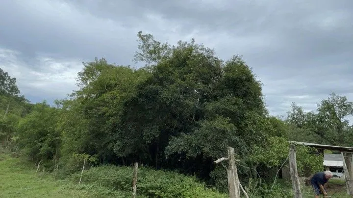 Country home for sale of 10 acres in Caraá, RS, Brazil