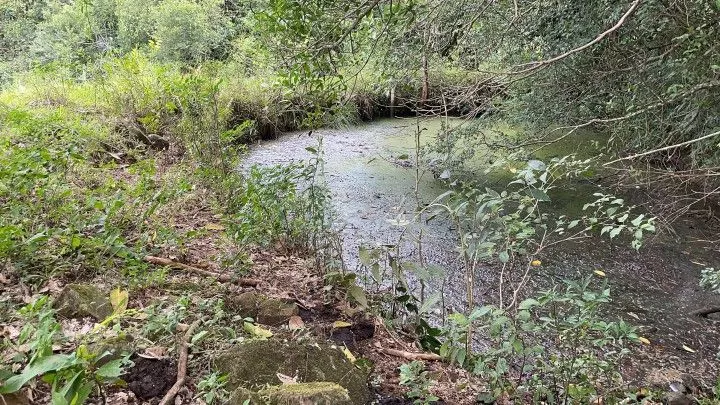 Country home for sale of 10 acres in Caraá, RS, Brazil