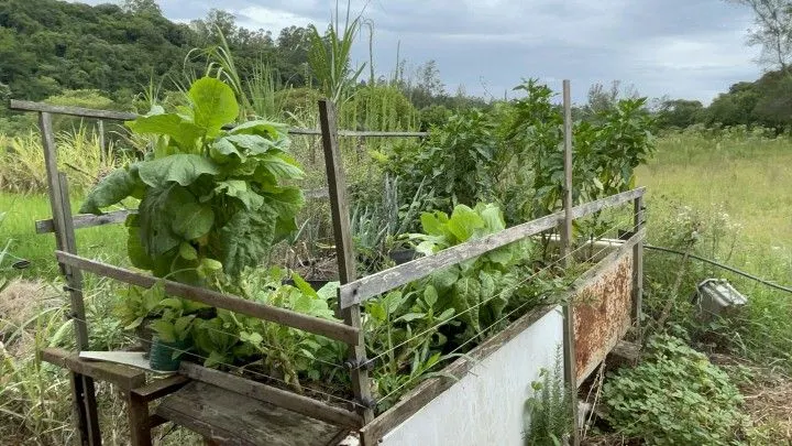 Country home for sale of 10 acres in Caraá, RS, Brazil