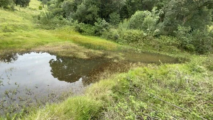Country home for sale of 10 acres in Caraá, RS, Brazil