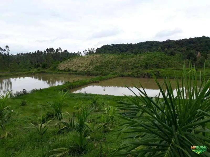 Fazenda à venda de 1.246 ha em Sete Barras, SP, Brasil