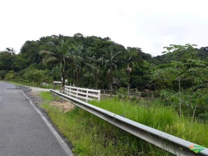 Fazenda à venda de 1.246 ha em Sete Barras, SP, Brasil