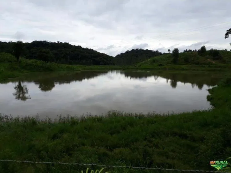 Fazenda à venda de 1.246 ha em Sete Barras, SP, Brasil