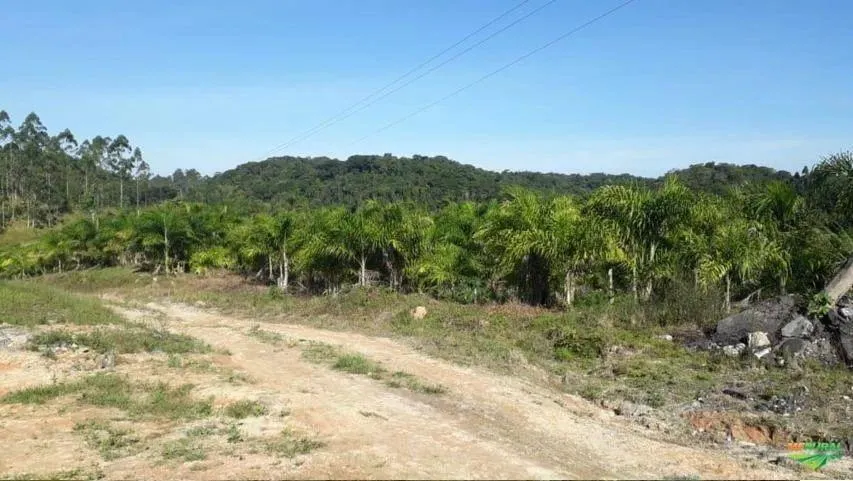 Fazenda à venda de 1.246 ha em Sete Barras, SP, Brasil