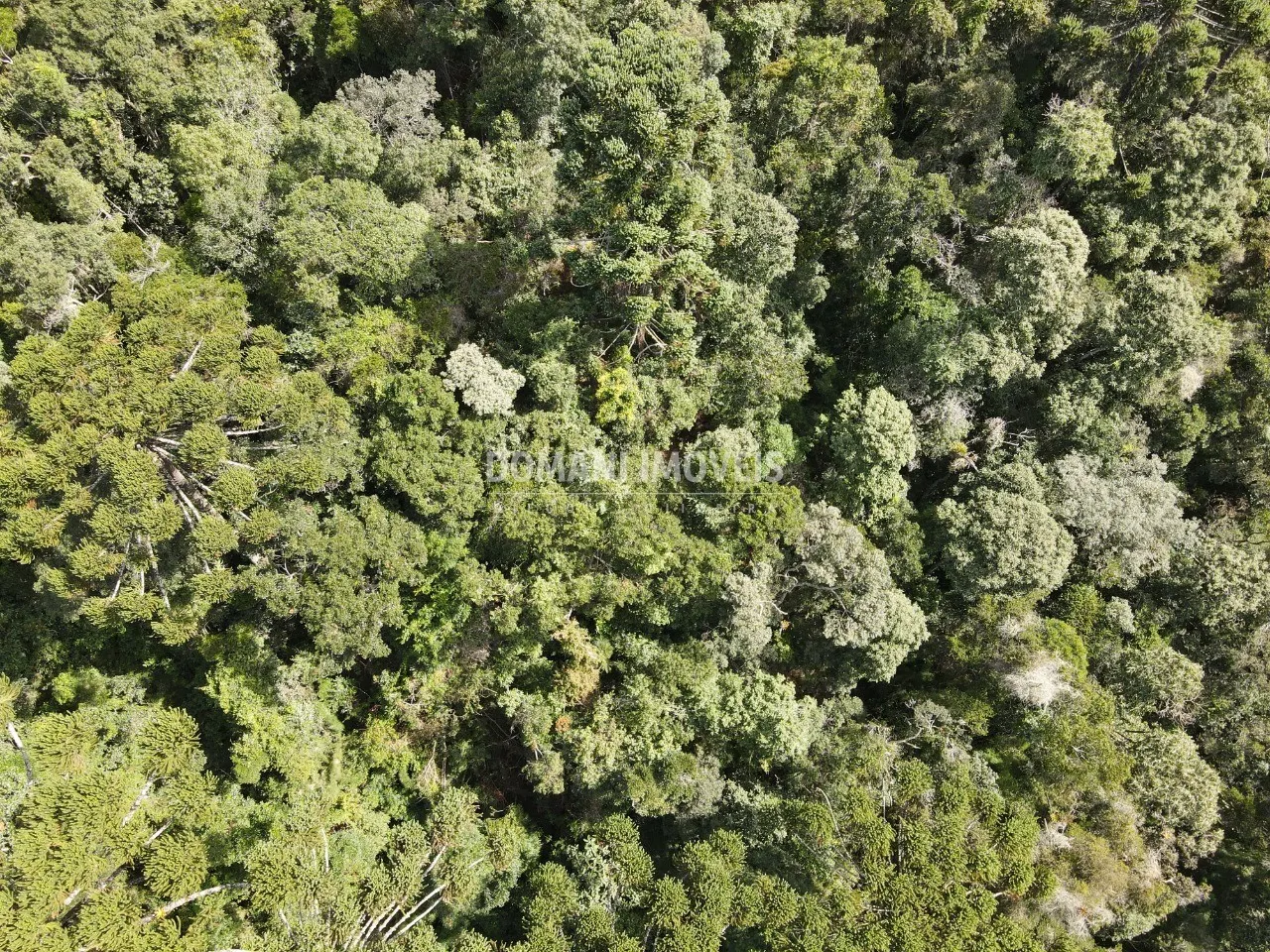 Plot for sale of 1 acres in Campos do Jordão, SP, Brazil