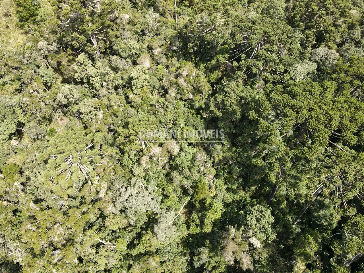 Plot for sale of 1 acres in Campos do Jordão, SP, Brazil