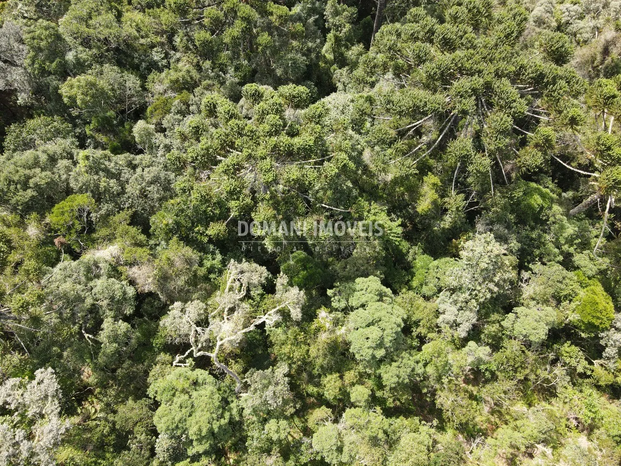 Plot for sale of 1 acres in Campos do Jordão, SP, Brazil