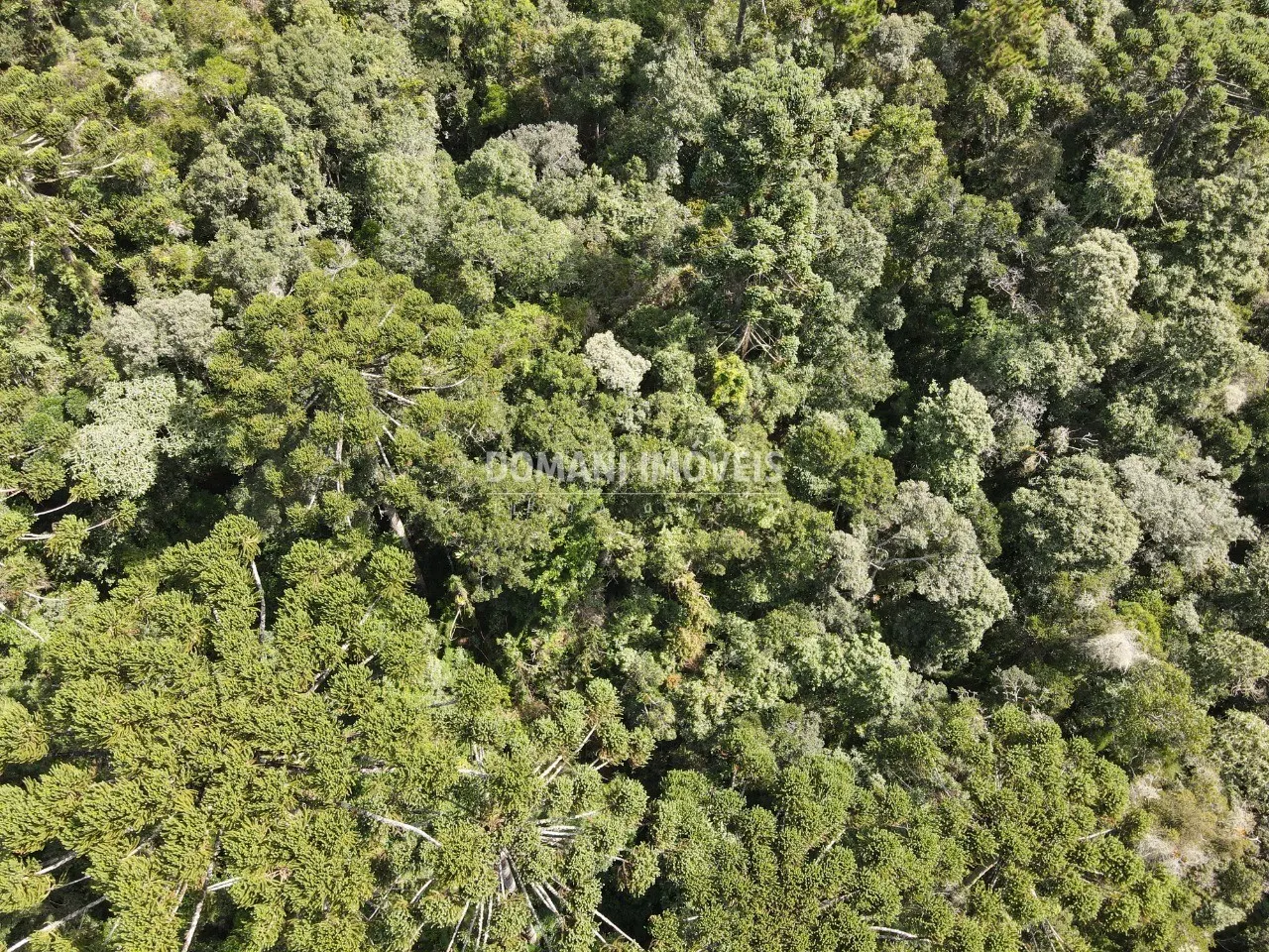 Plot for sale of 1 acres in Campos do Jordão, SP, Brazil