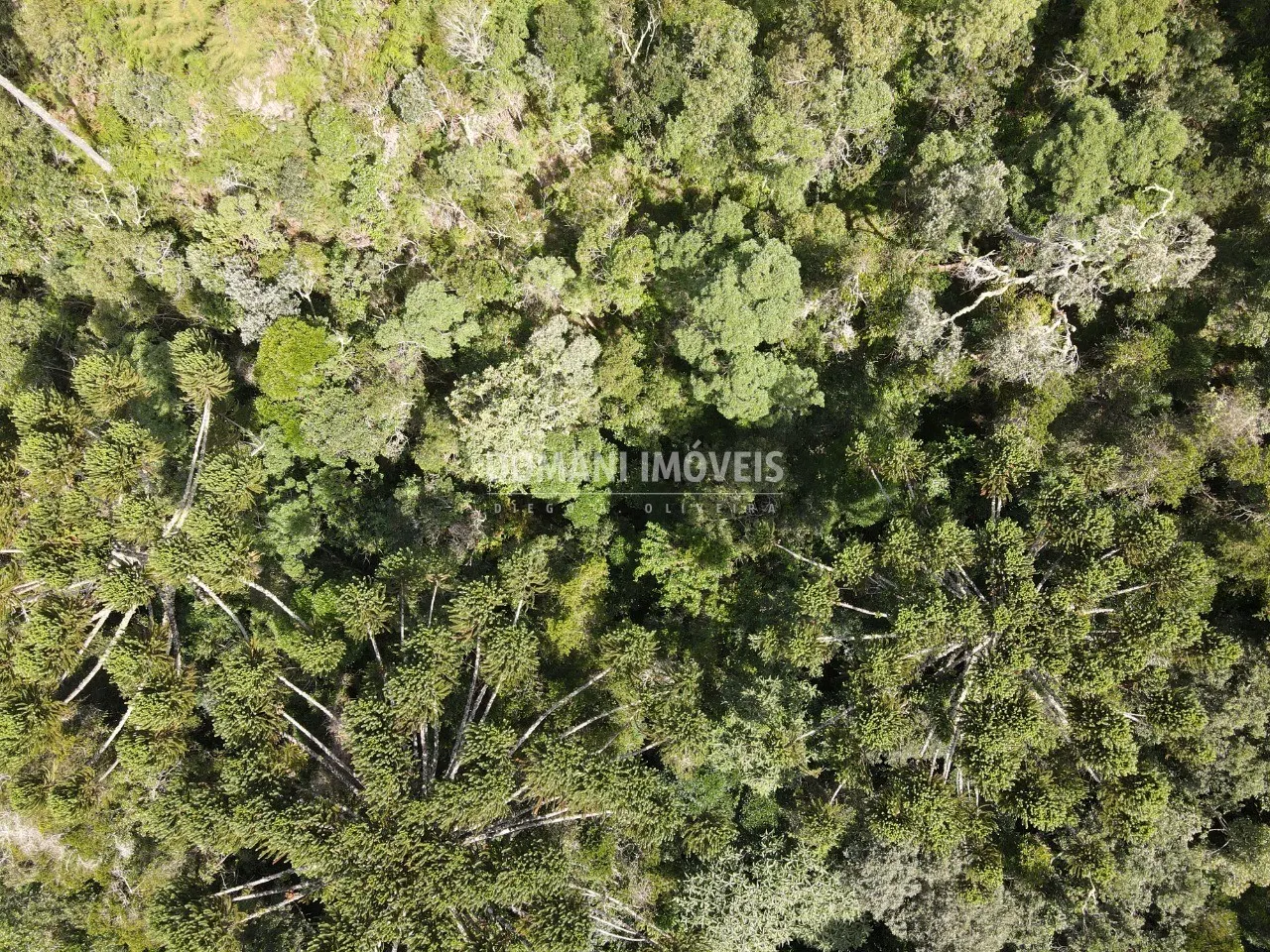 Plot for sale of 1 acres in Campos do Jordão, SP, Brazil