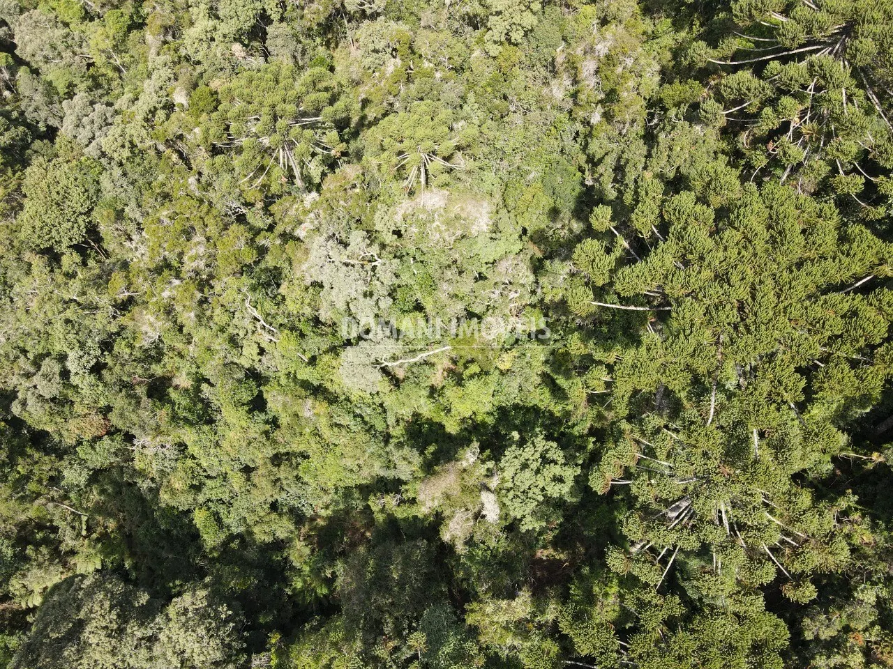 Plot for sale of 1 acres in Campos do Jordão, SP, Brazil