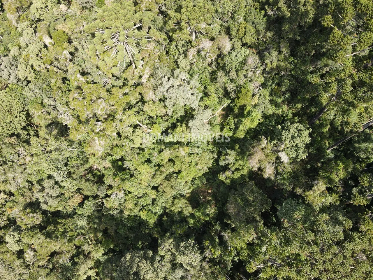 Plot for sale of 1 acres in Campos do Jordão, SP, Brazil