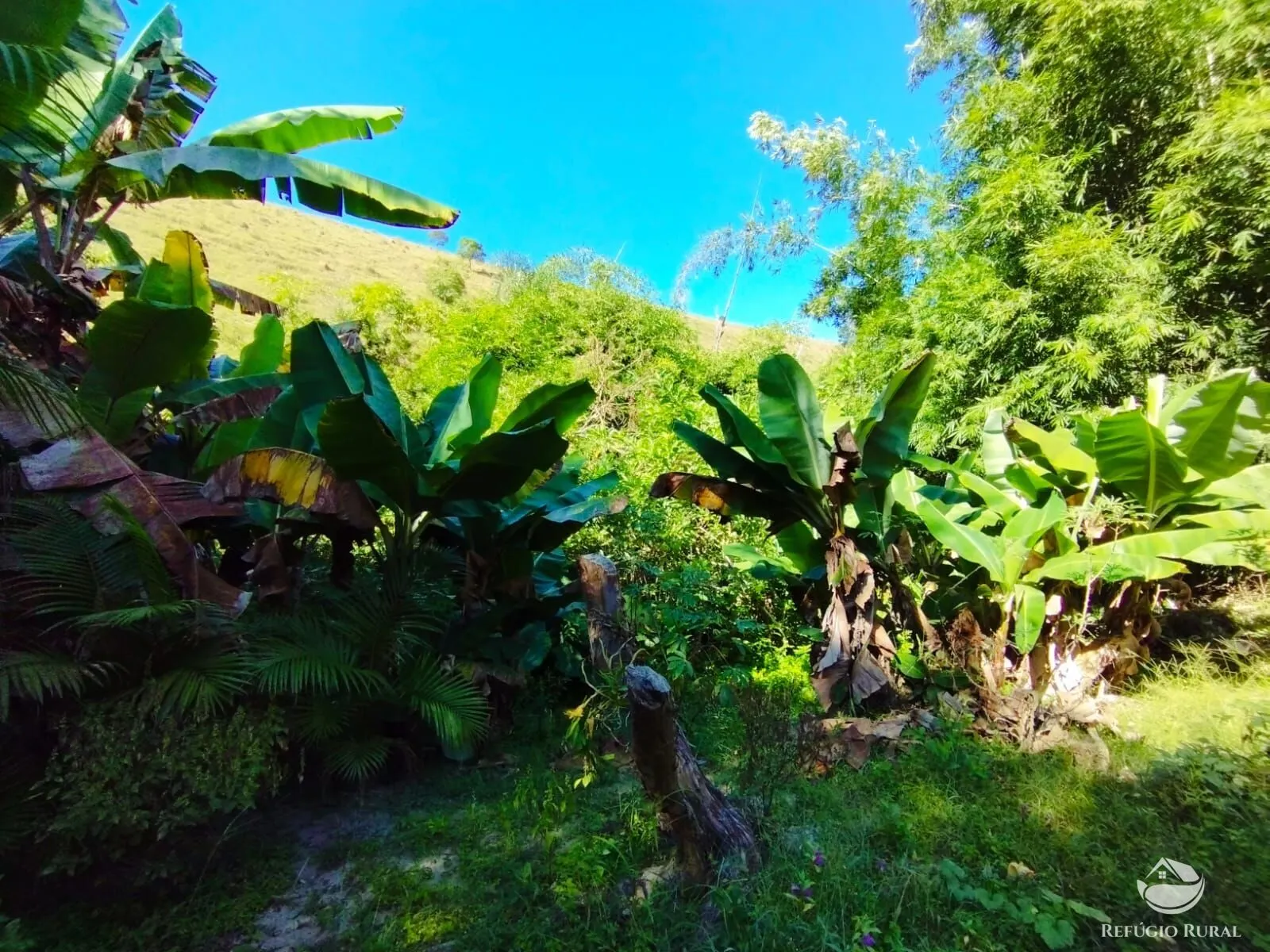 Sítio à venda de 12 ha em São José dos Campos, SP, Brasil