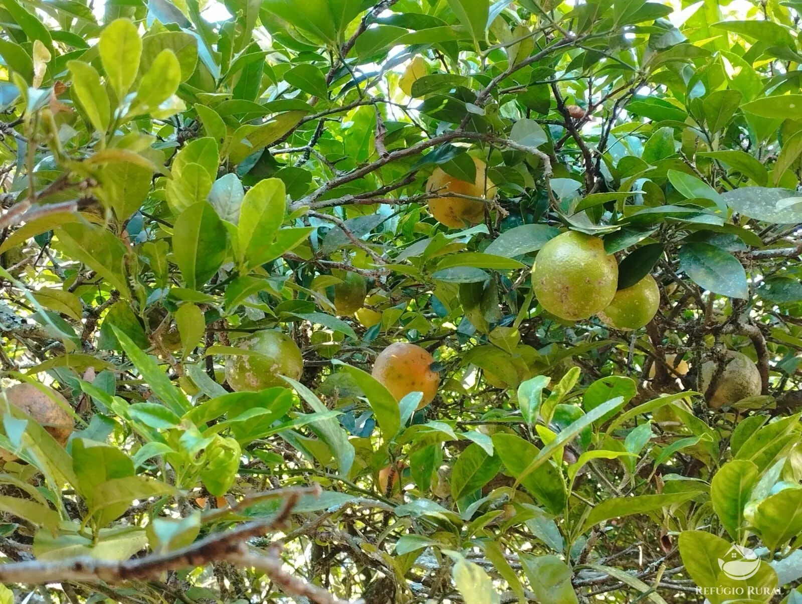 Sítio à venda de 12 ha em São José dos Campos, SP, Brasil